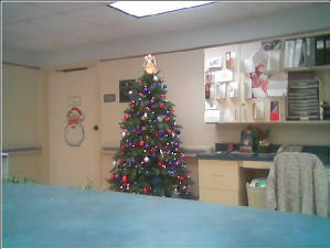 uglyworktree.jpg