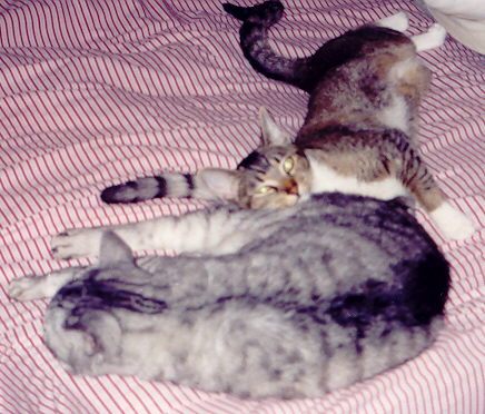 bedcorner.jpg